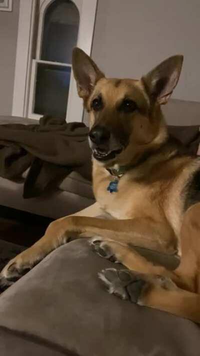 Watching her favorite show, Bones.