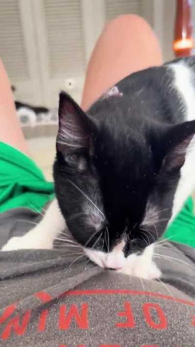 She is venting her anger at me after I dared leave the house for 16 hrs. straight😅