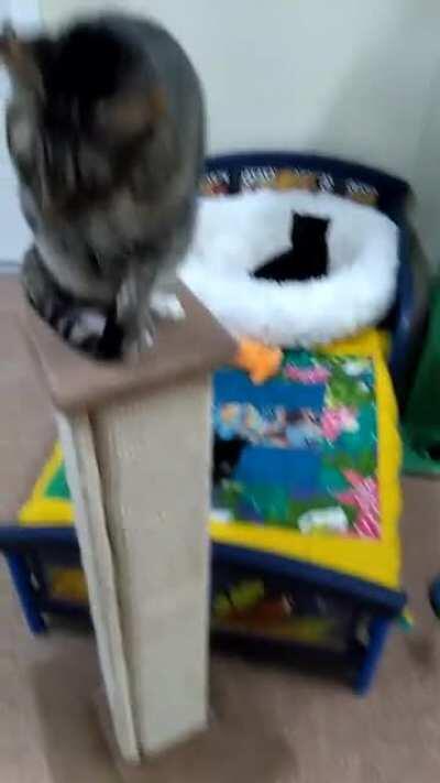 The best way to start a day