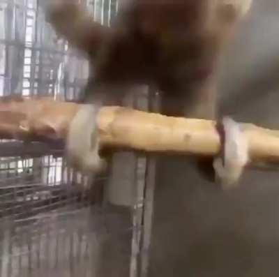 I'm 15 and this is yeet