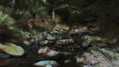 facing the unconscious