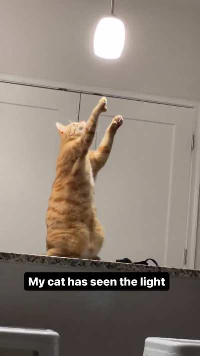 Not his turn with the orange braincell