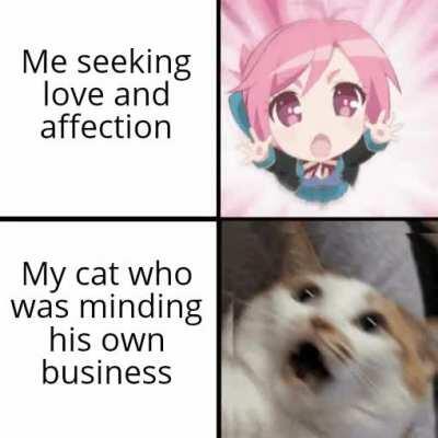 It's time for cuddles