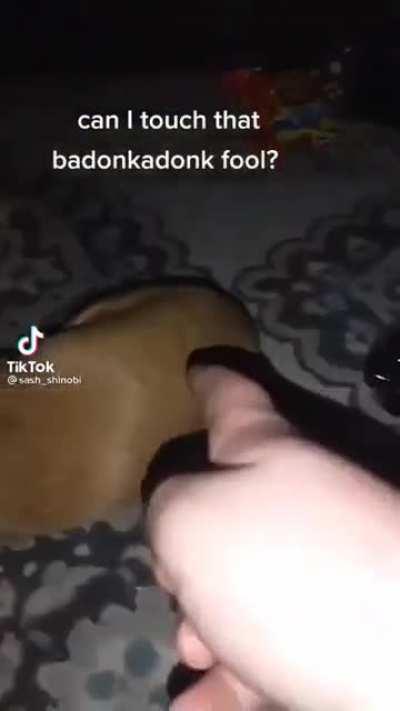 Vai meche com o pinscher