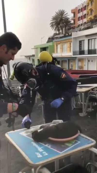 Firefighters rescue and resuscitate a cat