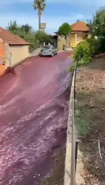 Two wine containers broke in a town in Portugal, which led to the streets flowing with wine