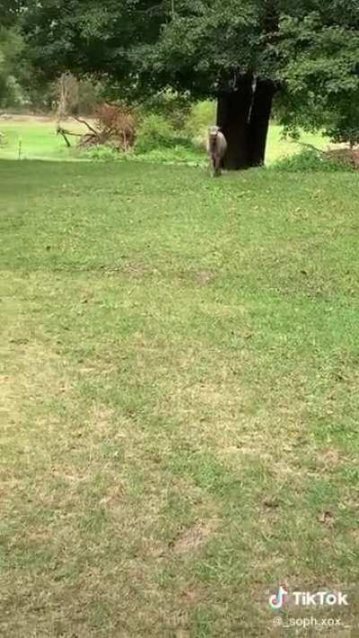 Saw this and immediately thought of this sub. Caption said she hadn’t seen him in a week!