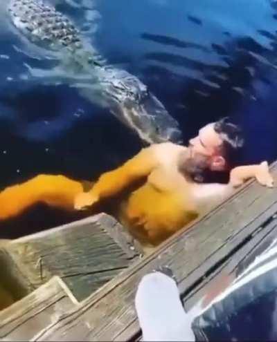 Alligator afternoon snack