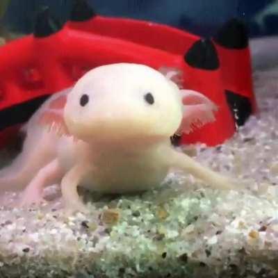 console player reaction times be like