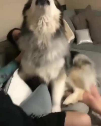 Big boy loves his family