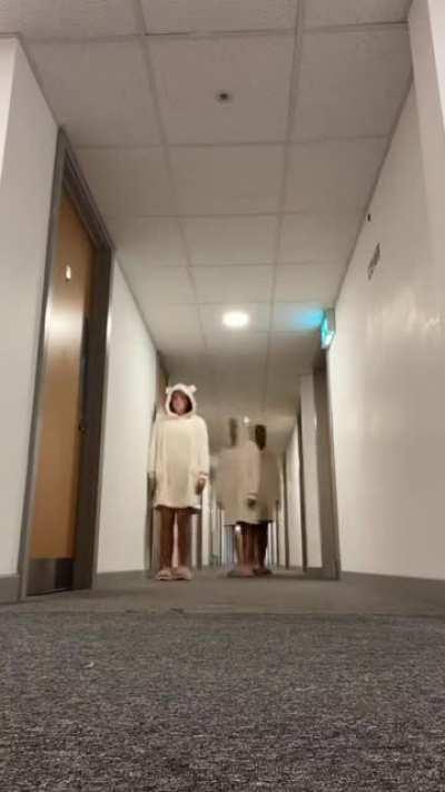 This video wins the internet today!