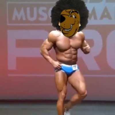 Contemplem o Scooby Doo comedor de casadas.