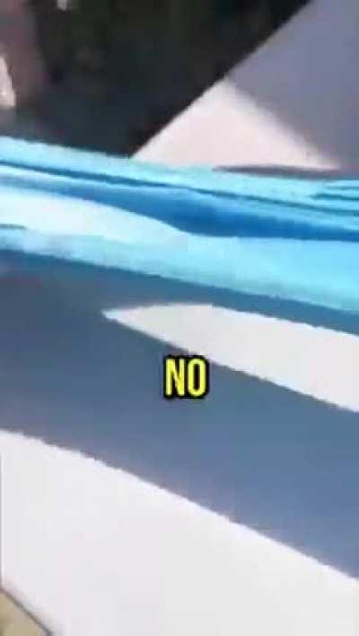 CUriosidades legais parte paguei sua prima 