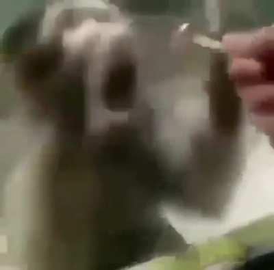 Le quitan el tabaco de liar a lely