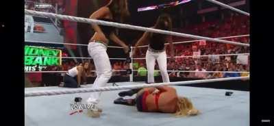 The Bella Twins insulted Kelly Kelly