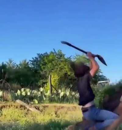 Profesional gardener