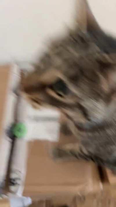 Yelling before I even open the door. “I know you’re holding! Give it over!”