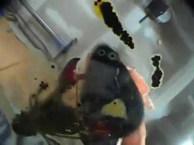 Angel pink metal heel crush