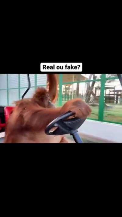 Luangameplay depois de adquirir seu primeiro possante