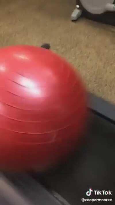 Why do this to begin with