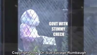 CNN is welcome to use this day in the life footage of a WSB investor.