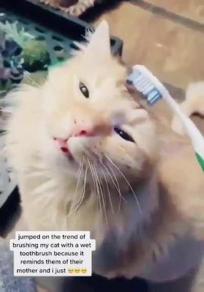 Remembering your mother