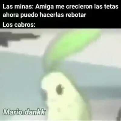 Confirmó