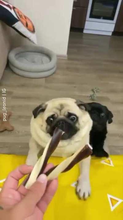 Let's see who gets it