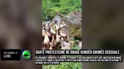 brave 🇦🇱Albanian🇦🇱 women protest against sexual violence 🇦🇱🇦🇱🇦🇱🇦🇱💪💪💪😎😎