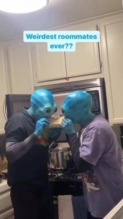 At least it's not fish