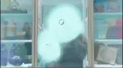 Raposito e Umild em Joinville be like: