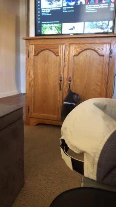 Working from home is hard enough without this man slamming cabinets like he pays rent!