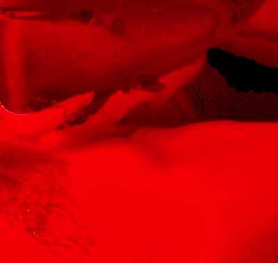 Love having this huge clit to slide inside his mouth with 🤤 