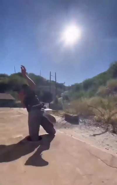 what a great place to Ollie