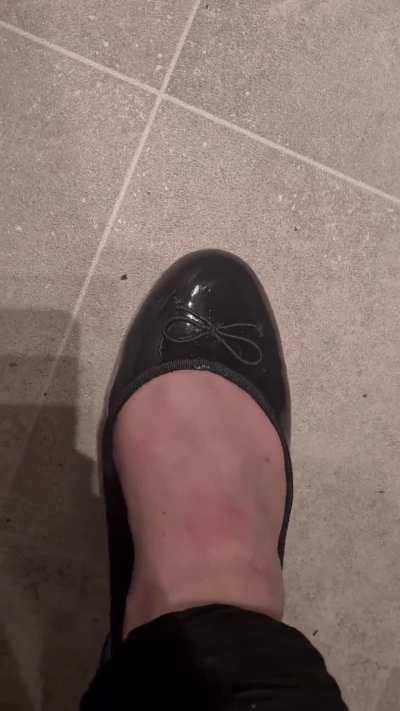 Black flats crush woodlouse