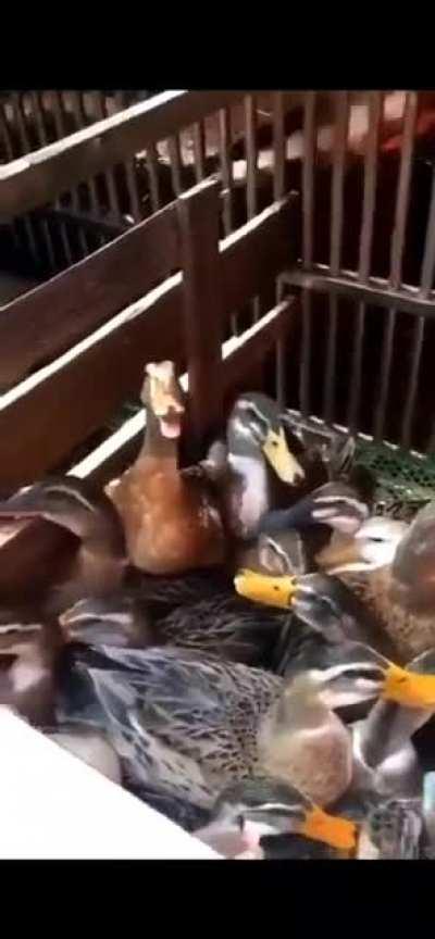 It was hard getting over my addiction to the Hokey Pokey. But I’ve turned myself around and that’s what it’s all about.