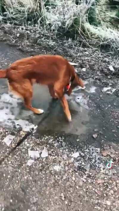 first experience with ice