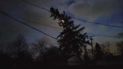 5 years ago the power company said this tree didn't need to come down.