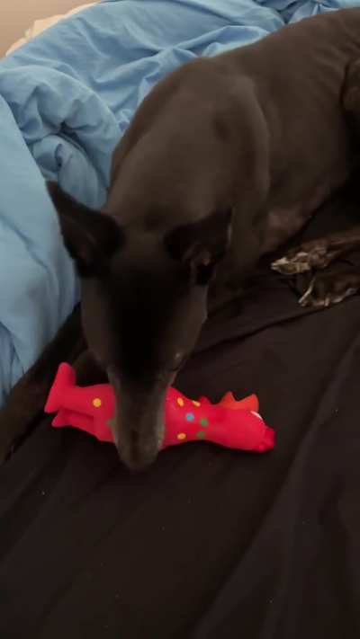 I’m going to kill my husband for this…