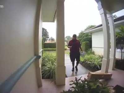 Difference between FedEx and UPS drivers