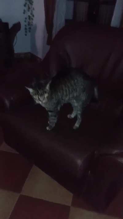 Ah Hell Naw. Freggy Spend 3 Days Sleeping.