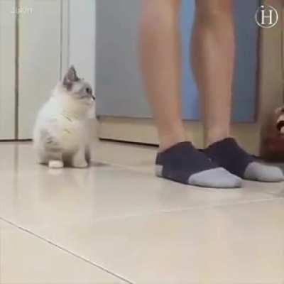 Everything is better in a company