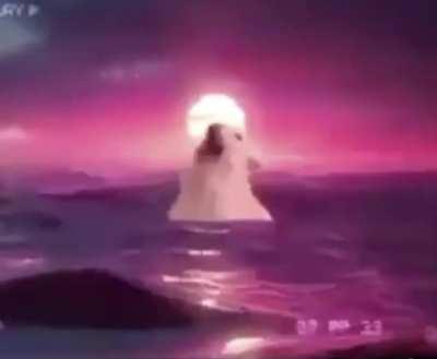 thanks i love cat singing blinding lights