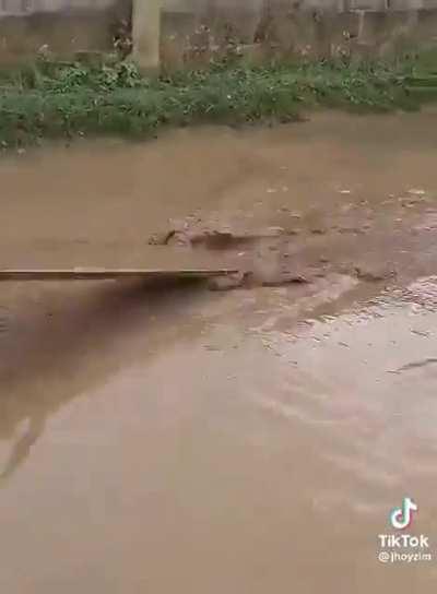 Dice on their way to make a new and improved battlefield after 5