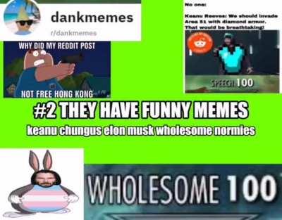 bruh moment wholesome 100