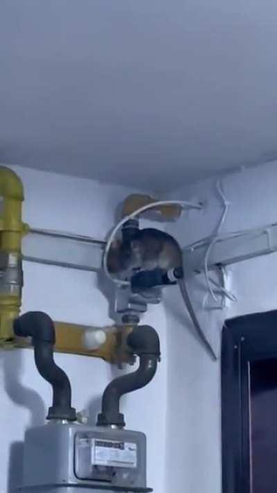 Verifica electrovalva