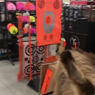 Donkeys are smart, emotional, and enjoy running errands with their humans.