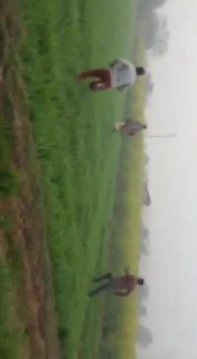 WCGW doing stunt with tractor near full grown crops!!