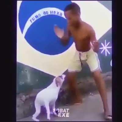 posting memes from discord part 16