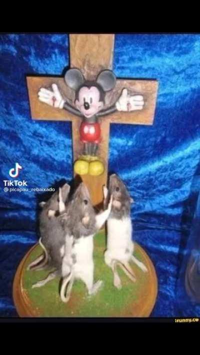 blessing be the mouse